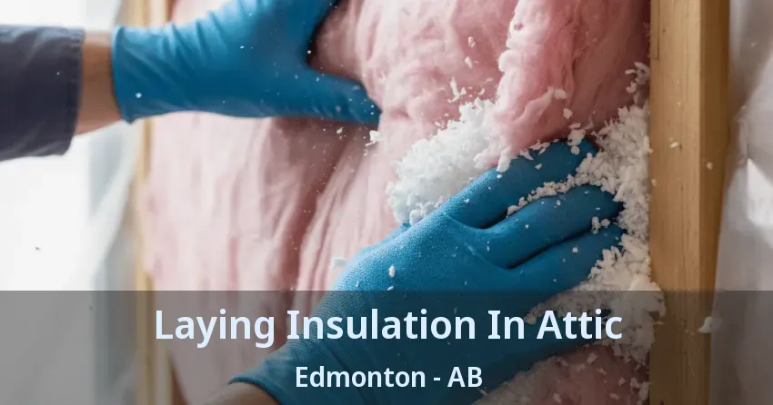 Laying Insulation In Attic Edmonton - AB Laying Insulation In Attic Edmonton - AB