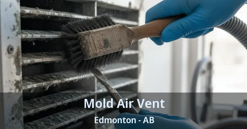 Mold Air Vent Edmonton - AB Mold Air Vent Edmonton - AB