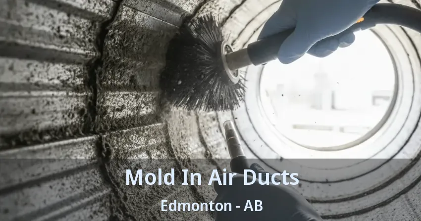 Mold In Air Ducts Edmonton - AB Mold In Air Ducts Edmonton - AB