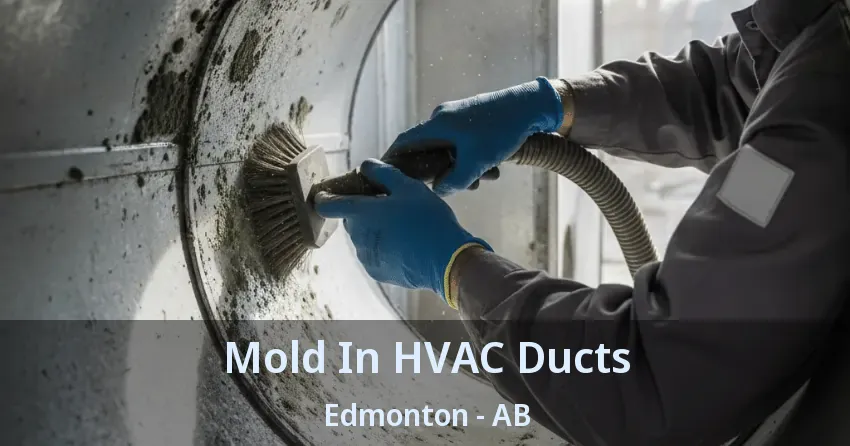 Mold In HVAC Ducts Edmonton - AB Mold In HVAC Ducts Edmonton - AB