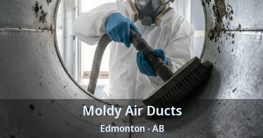 Moldy Air Ducts Edmonton - AB Moldy Air Ducts Edmonton - AB